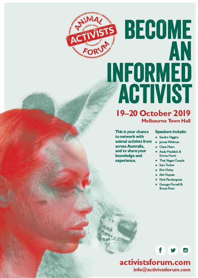 2019 Poster