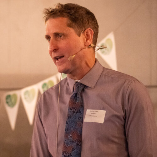 Professor Andrew Knight