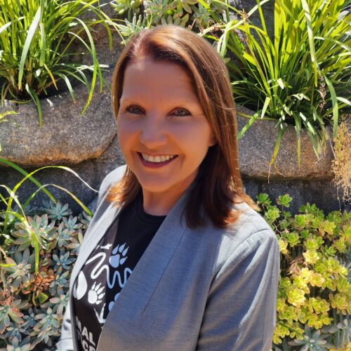 The Honourable Amanda Dorn MLC